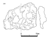 図版 181-JE0349.png