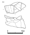 図版 181-JE0352.png