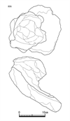 図版 181-JE0806.png