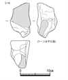図版 181-JES16.png