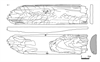 図版 181-JEW007.png