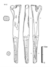 図版 181-JEW042.png