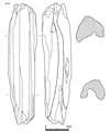 図版 181-JEW099.png