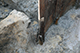 FileNo.183-033.jpg