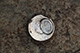 FileNo.183-034.jpg