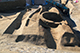 FileNo.183-035.jpg