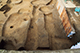 FileNo.183-041.jpg