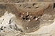 FileNo.183-053.jpg
