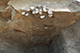 FileNo.183-054.jpg