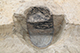 FileNo.183-057.jpg