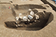 FileNo.183-063.jpg