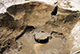 FileNo.183-072.jpg