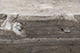FileNo.183-087.jpg