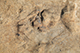FileNo.183-088.jpg