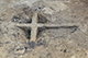 FileNo.183-090.jpg