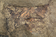 FileNo.183-094.jpg