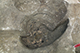 FileNo.183-096.jpg