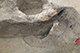 FileNo.183-097.jpg