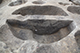FileNo.183-100.jpg