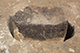 FileNo.183-107.jpg
