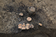 FileNo.183-109.jpg