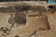 FileNo.183-111.jpg