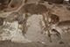 FileNo.183-116.jpg