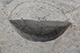 FileNo.183-121.jpg