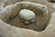 FileNo.183-125.jpg