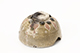 FileNo.183-177.jpg