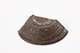 FileNo.183-187.jpg