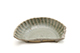 FileNo.183-204.jpg