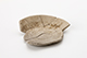 FileNo.183-220.jpg