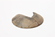 FileNo.183-224.jpg