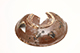 FileNo.183-247.jpg