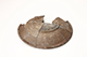 FileNo.183-253.jpg