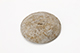 FileNo.183-283.jpg