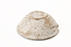 FileNo.183-285.jpg