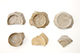 FileNo.183-293.jpg