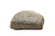 FileNo.183-301.jpg