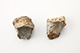 FileNo.183-306.jpg