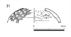 図版 183-J0031.png