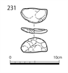 図版 183-J0231.png