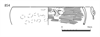 図版 183-J0854.png