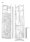 図版 183-J1020.png