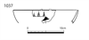 図版 183-J1037.png
