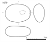 図版 183-J1079.png