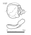 図版 183-J1137.png