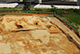 FileNo.187-005.jpg