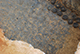 FileNo.187-021.jpg